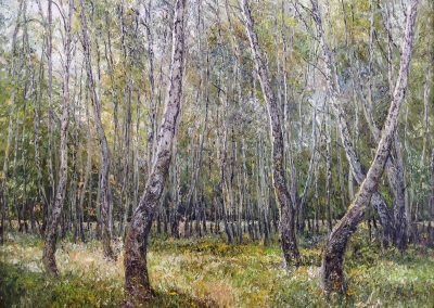 34 «Березовая роща» («Birch grove ») 45x60 sm
